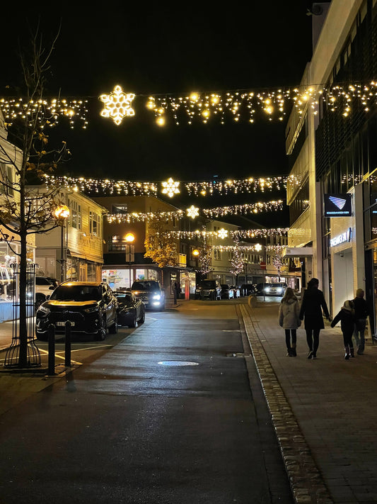 Winter Lights: Keep the Glow After Christmas - Santa's Light Shop