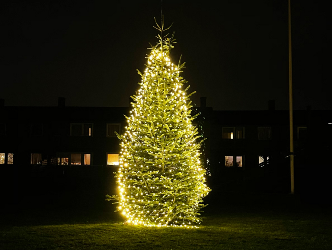 Christmas lights deals on bushes