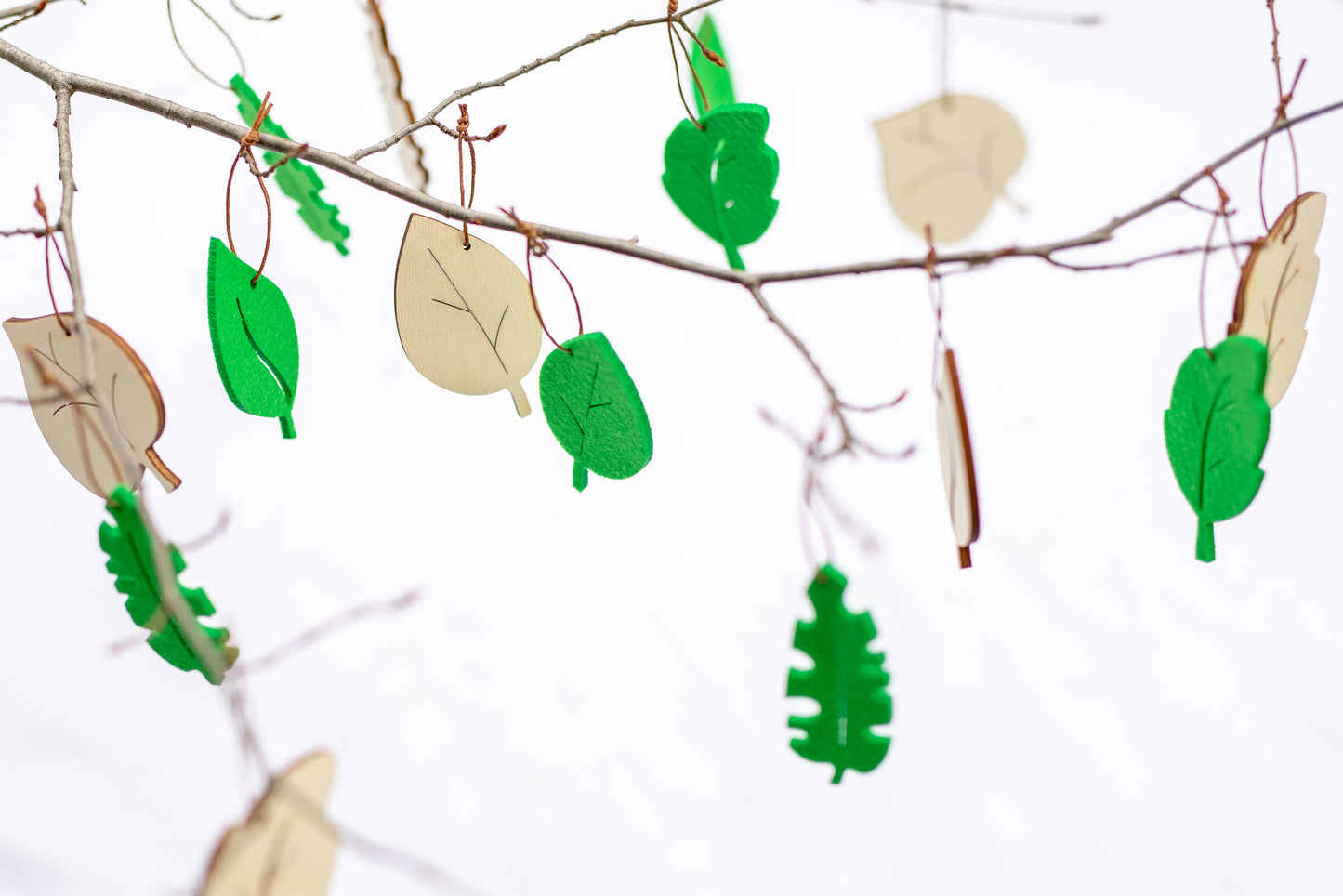 Leaf decoration medium